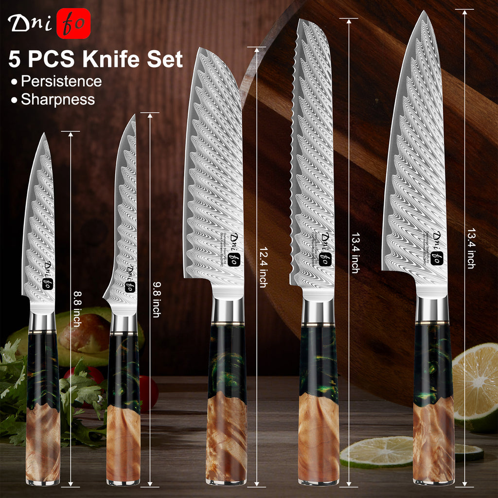 5 Piece Damascus Knife Set, Japanese Knives with 66-Layers Damascus Steel & VG 10 Steel Core, Resin Handle, Includes 5" Paring, 6" Boning, 7" Santoku, 8" Chef & 8" Bread Damascus Knives in Gift Box