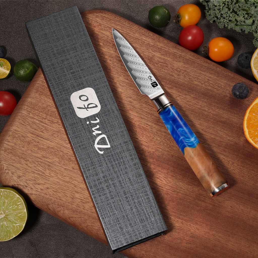 Classic Paring Knife 3.5 Inch, Japanese VG10 Steel Damascus Fruit Knife, Sharp Small Kitchen Knife with Gift Box and Resin Wood Handle, Ideal Birthday Gift for Men and Women