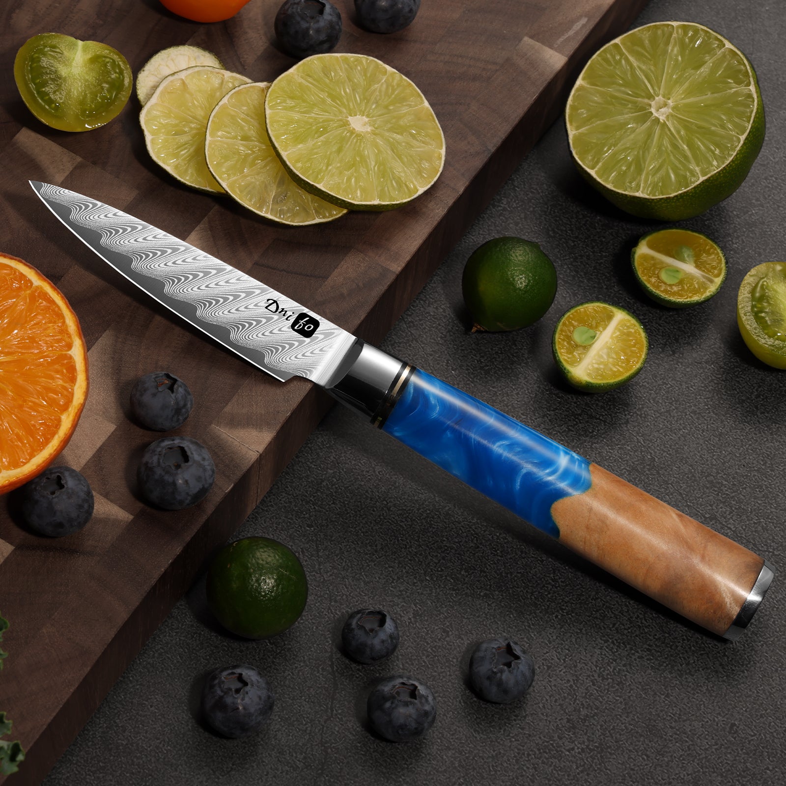 Classic Paring Knife 3.5 Inch, Japanese VG10 Steel Damascus Fruit Knife, Sharp Small Kitchen Knife with Gift Box and Resin Wood Handle, Ideal Birthday Gift for Men and Women