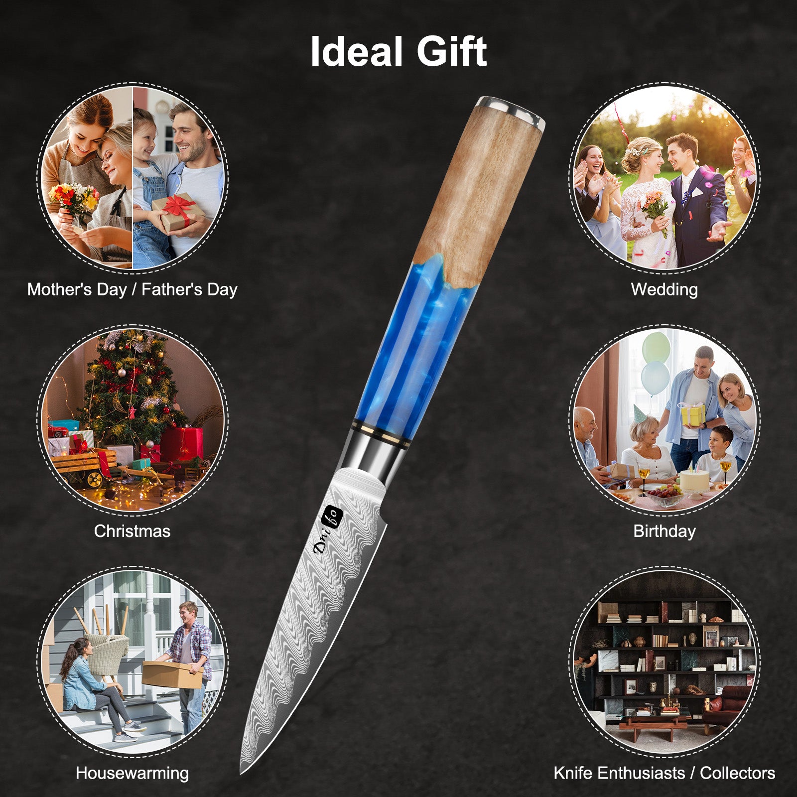 Classic Paring Knife 3.5 Inch, Japanese VG10 Steel Damascus Fruit Knife, Sharp Small Kitchen Knife with Gift Box and Resin Wood Handle, Ideal Birthday Gift for Men and Women