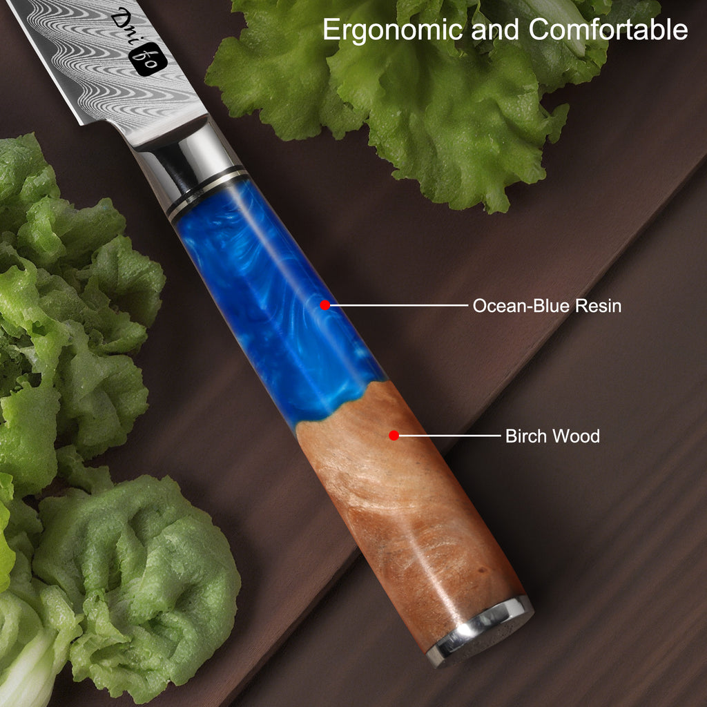 Classic Paring Knife 3.5 Inch, Japanese VG10 Steel Damascus Fruit Knife, Sharp Small Kitchen Knife with Gift Box and Resin Wood Handle, Ideal Birthday Gift for Men and Women