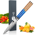 Classic Paring Knife 3.5 Inch, Japanese VG10 Steel Damascus Fruit Knife, Sharp Small Kitchen Knife with Gift Box and Resin Wood Handle, Ideal Gift