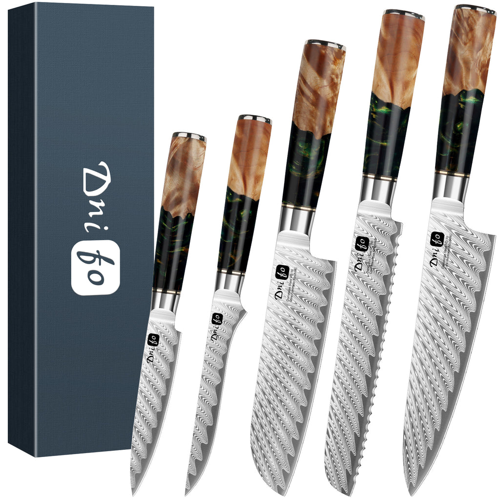 5 Piece Damascus Knife Set, Japanese Knives with 66-Layers Damascus Steel & VG 10 Steel Core, Resin Handle, Includes 5" Paring, 6" Boning, 7" Santoku, 8" Chef & 8" Bread Damascus Knives in Gift Box
